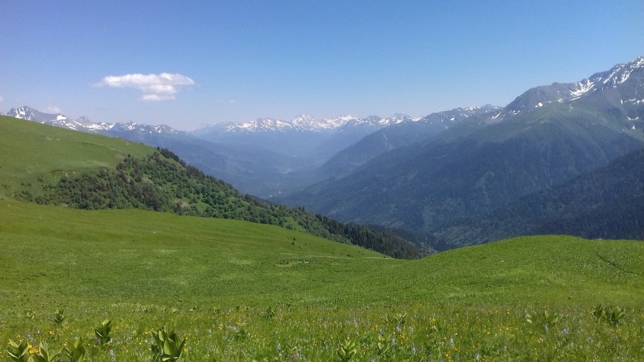Альпийские Луга Абхазия