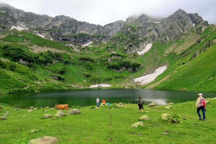Альпийские Луга Абхазия