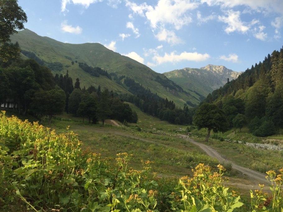 Альпийские горы в Абхазии