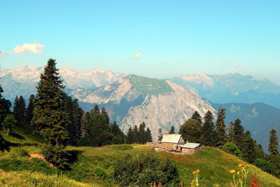 Альпийские Луга Абхазия