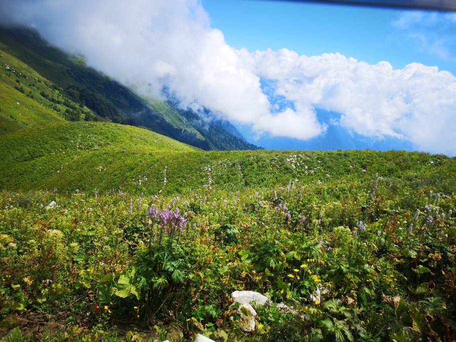 Гора Ачира Абхазия