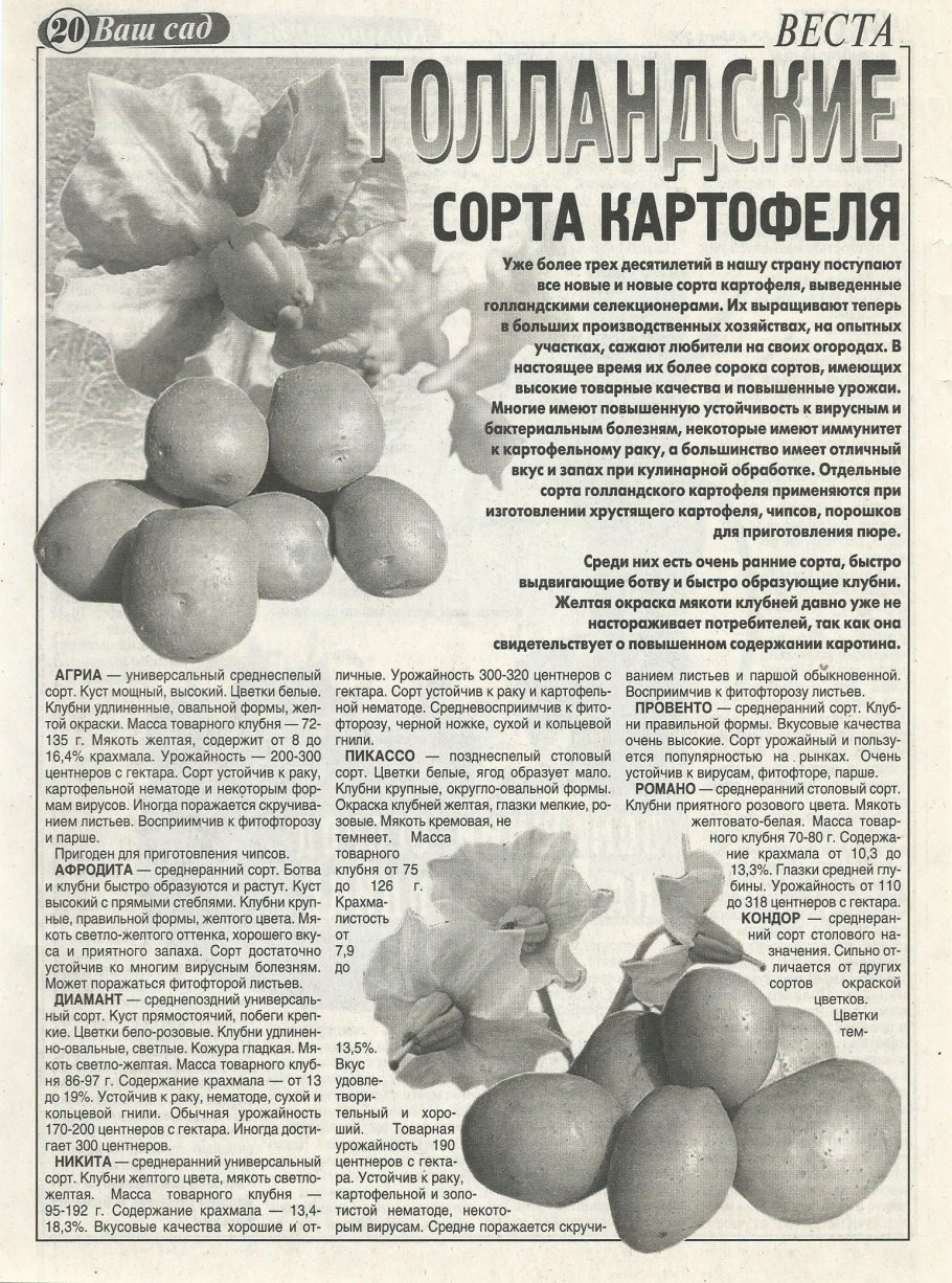 К чему снится картофель