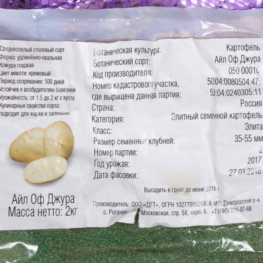 Цикл развития фитофтороза картофеля