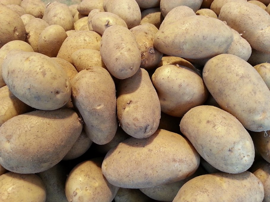 Першацвет картофель