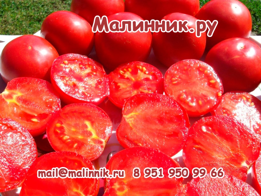 Томат сахарная Настасья