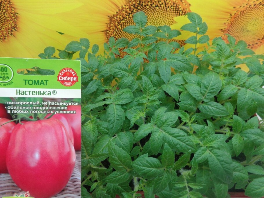 Семена томата Анжелика