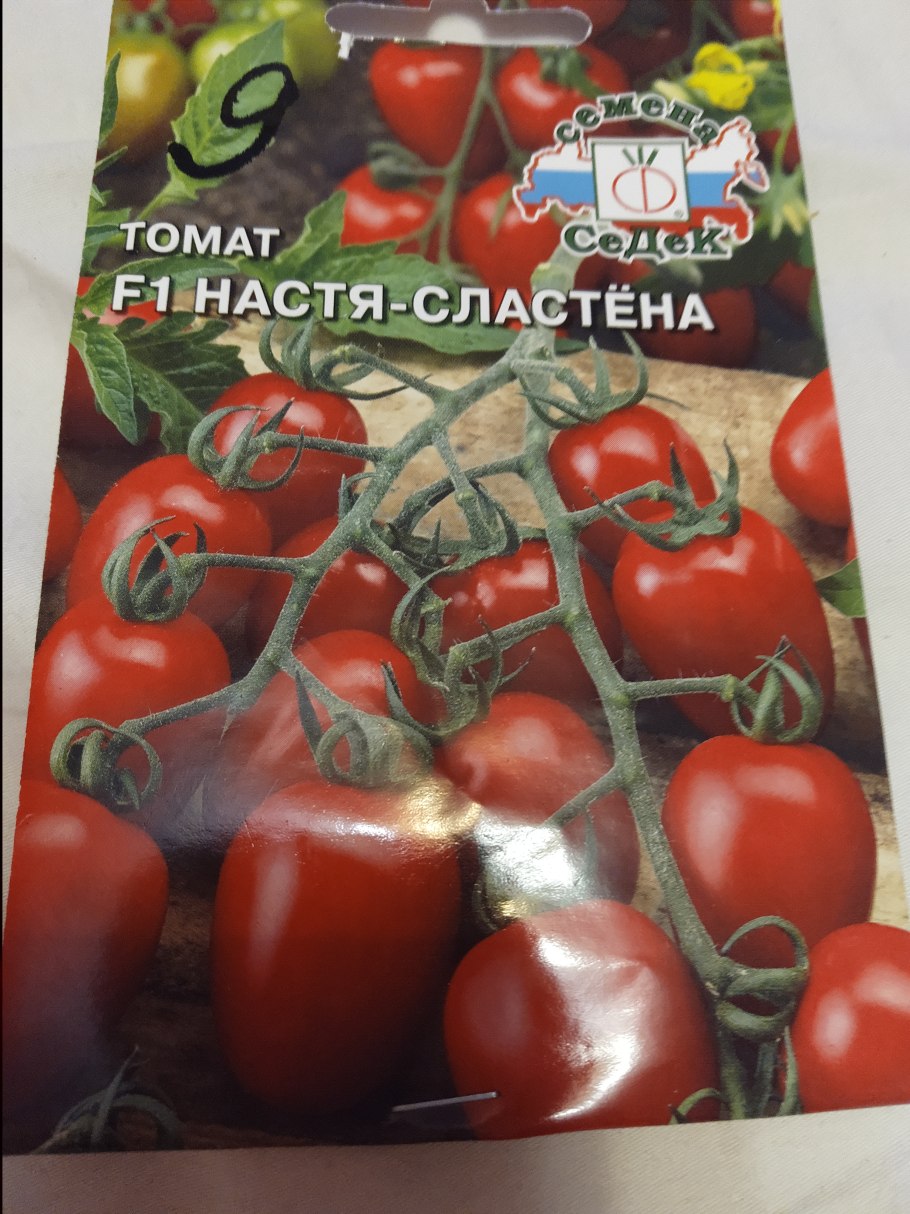 Томат Настя Сибирячка