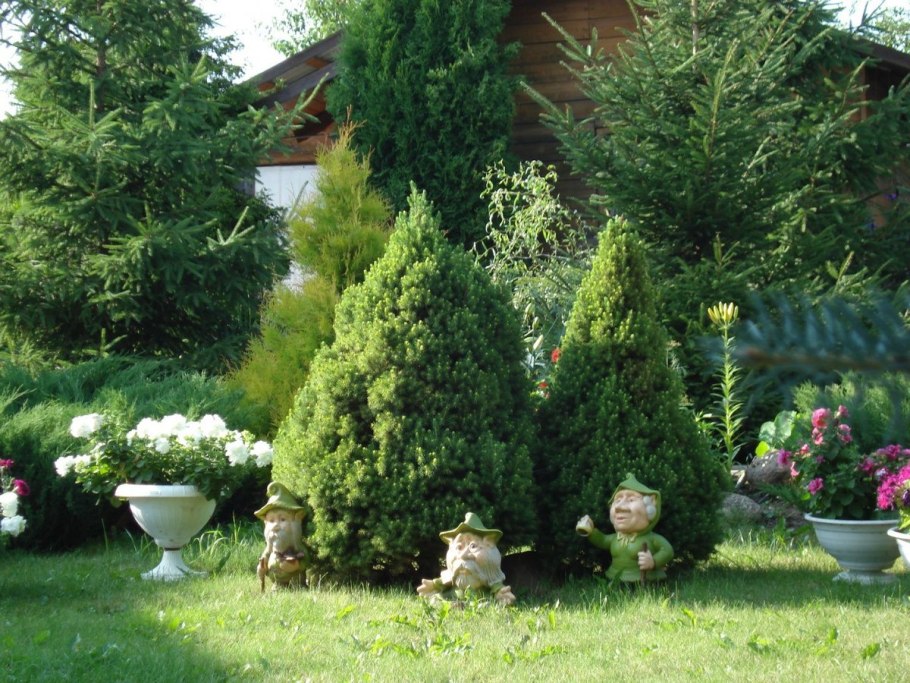 Хвойники в Лесном ландшафте