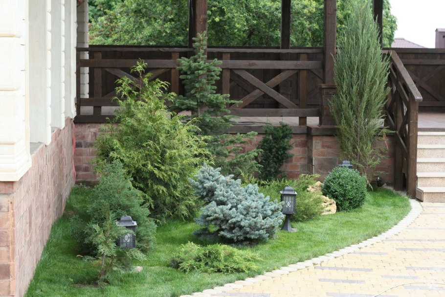 Туя Смарагд и спирея