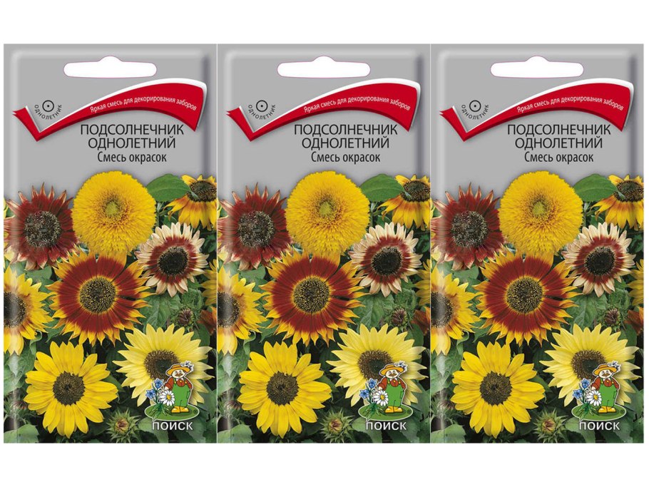 Семена подсолнуха пузанок