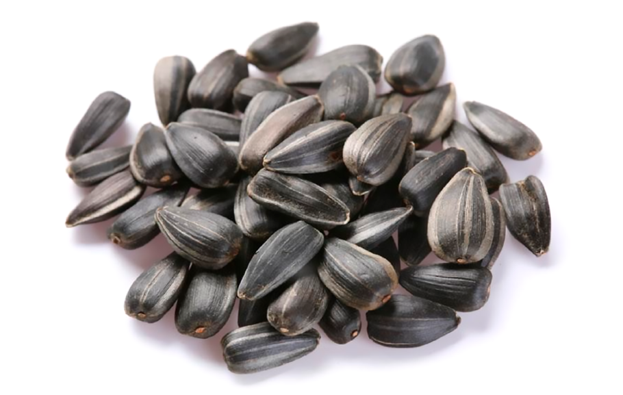 Подсолнух 2019