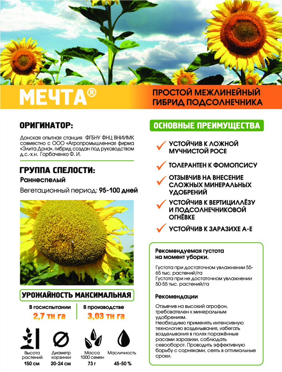 Подсолнечник однолетний Сириус