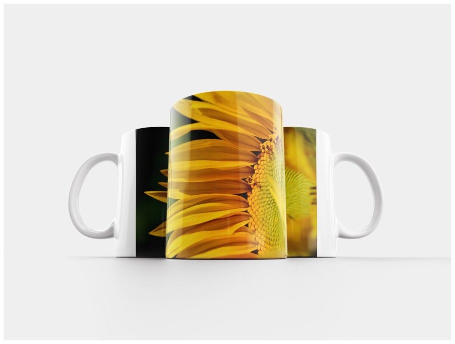 Семечки подсолнуха