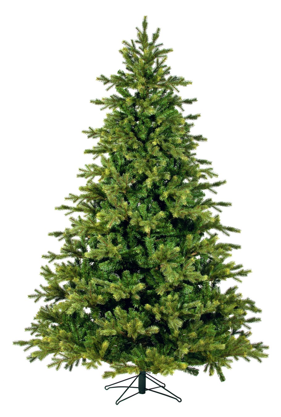 Датская пихта Нордмана