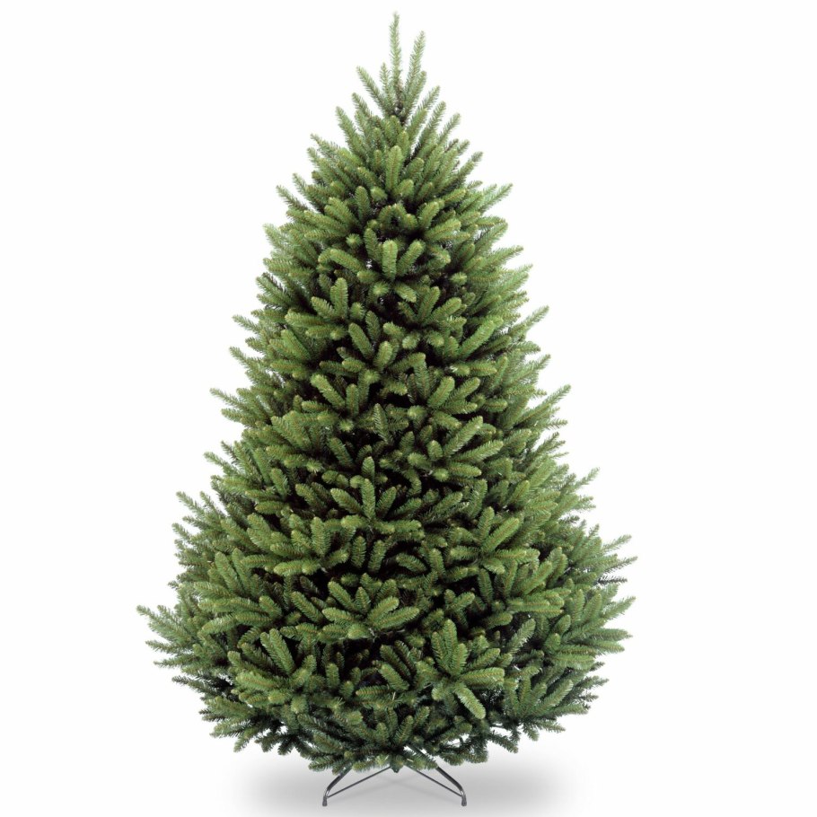 Датская пихта Нордмана