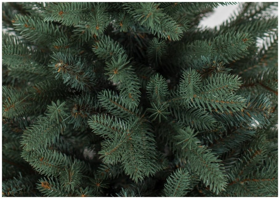 Пихта премиум класса