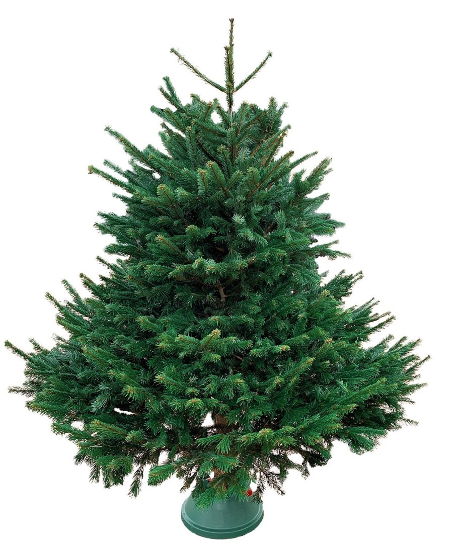 Ель искусственная ТПК "новая елка" Датская 1,2 м