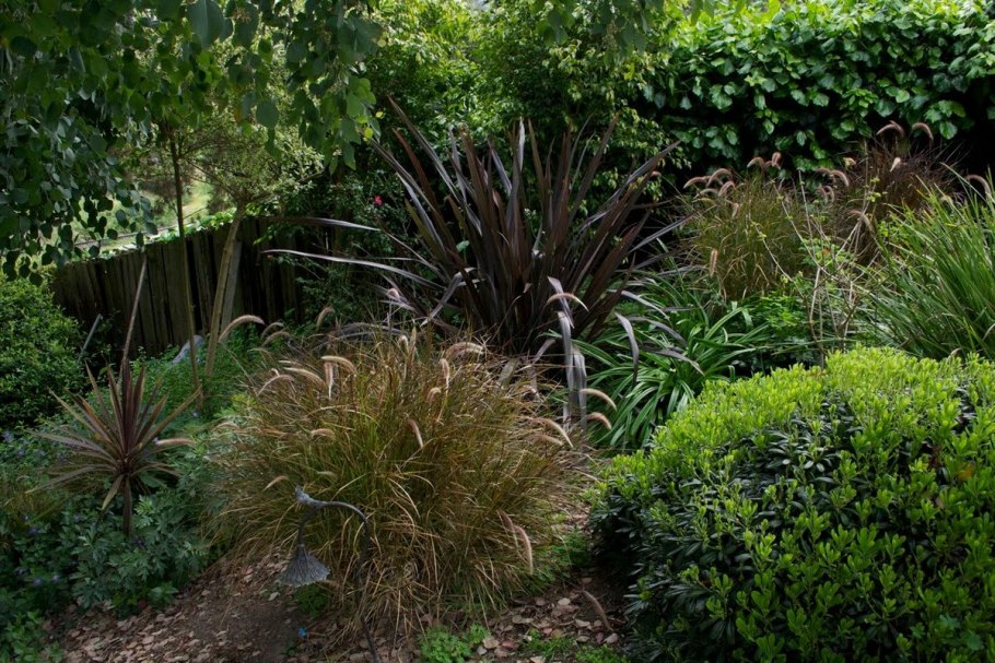 Теневой миксбордер из многолетников