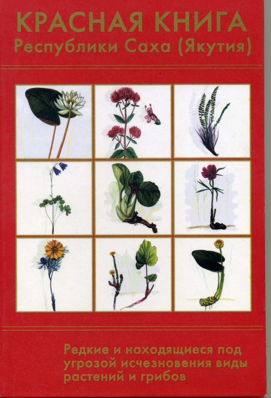 Растения Якутии занесенные в красную книгу