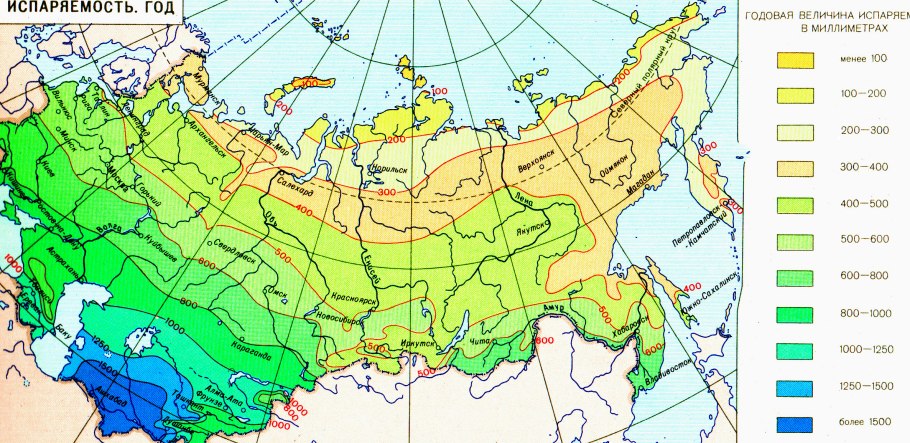 Высотная поясность восточного склона Урала