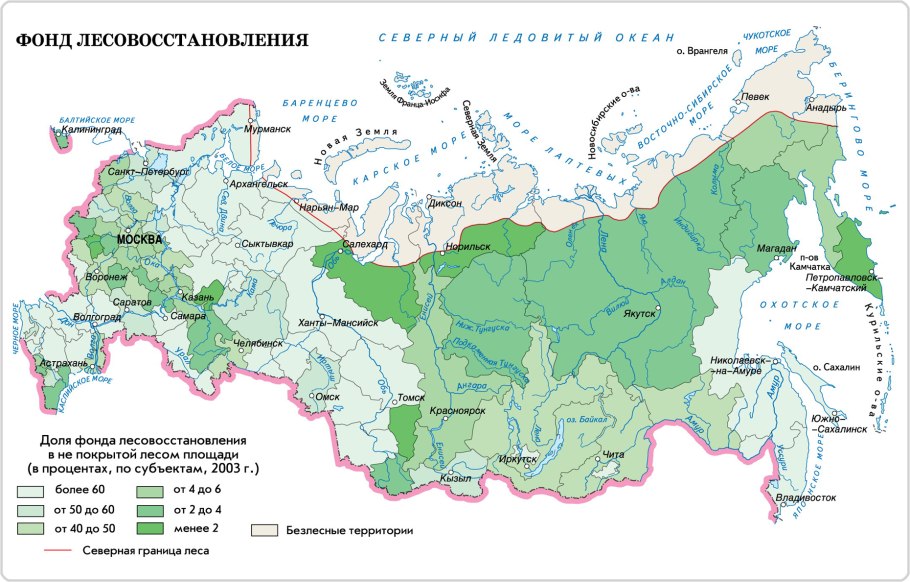 Сиверский лес