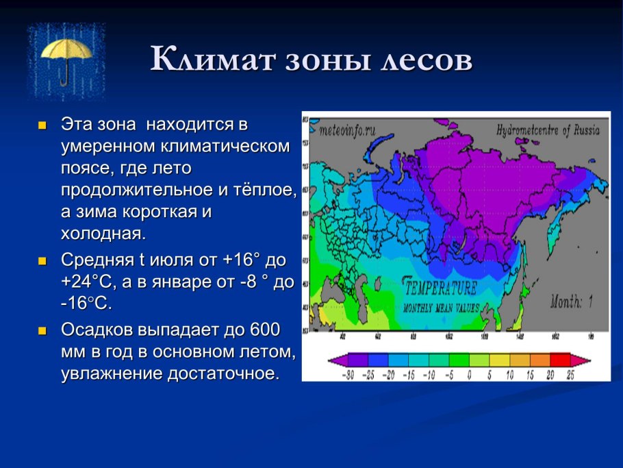 Климат смешанных и широколиственных лесов в России