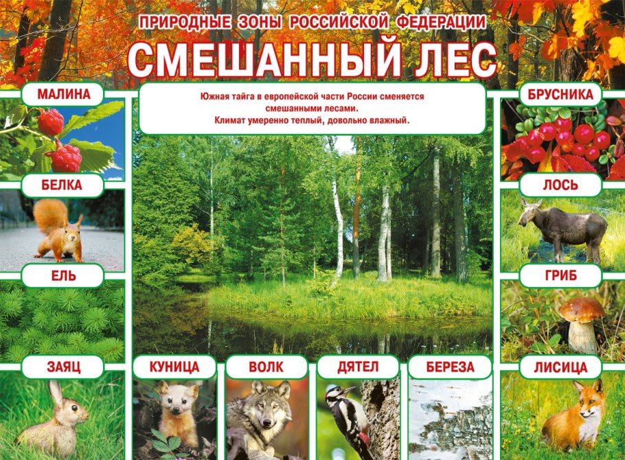 Заводь Лесной пруд ручей