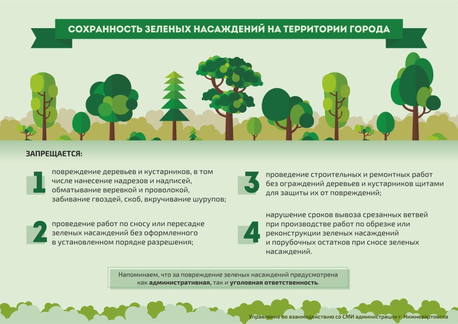 Лесная природа Вологодской области Вологодской области