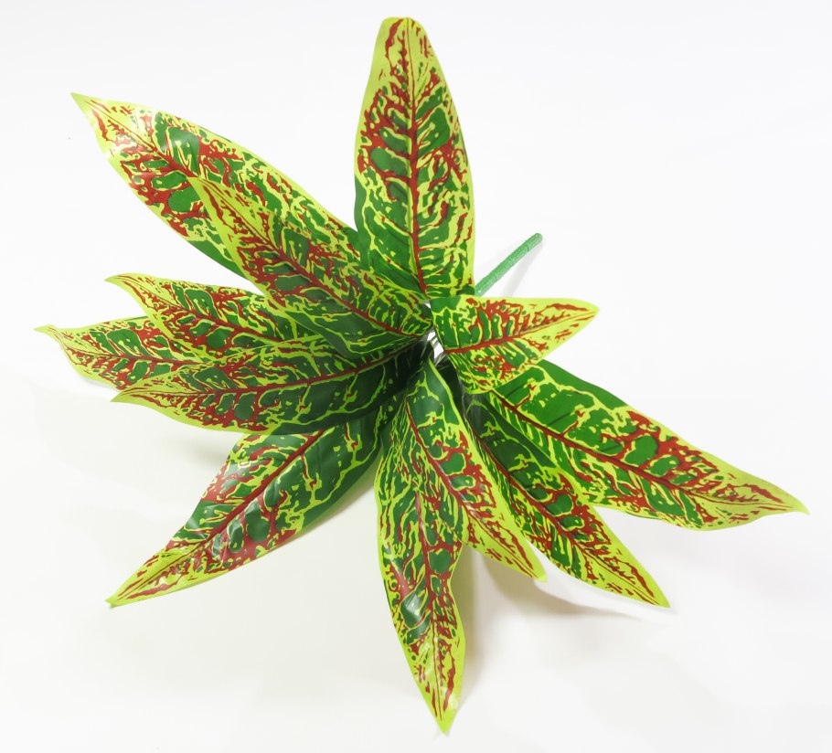 Аглаонема Anyamanee Tricolor