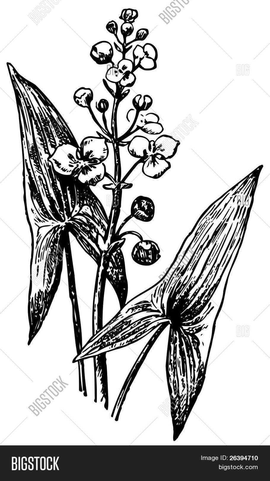 Обои на рабочий стол BTS Минимализм