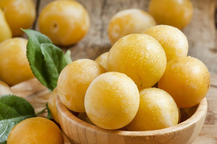 Алыча белая медовая