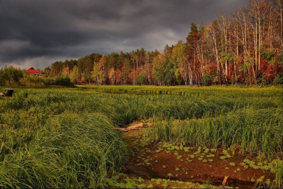 Юганский заповедник Соболь
