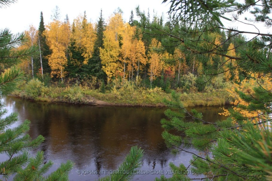 Нечкинский национальный парк животные