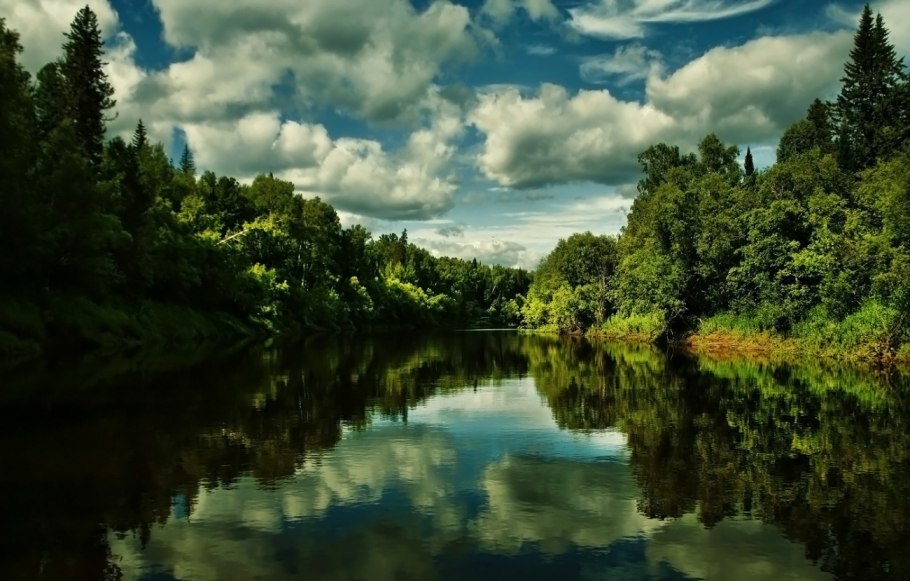 Баргузинский заповедник Северный олень