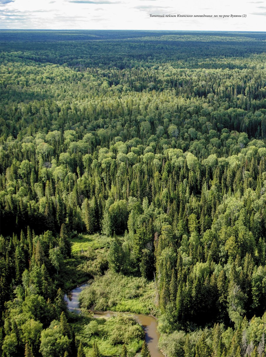 Васпухольский заказник ХМАО