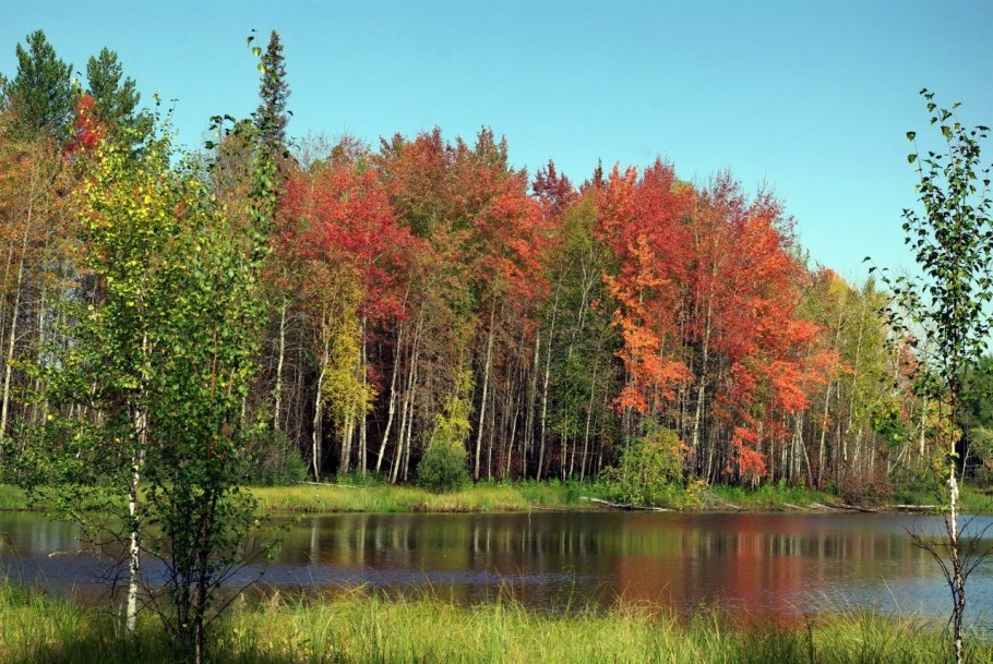 Шантарские острова национальный парк