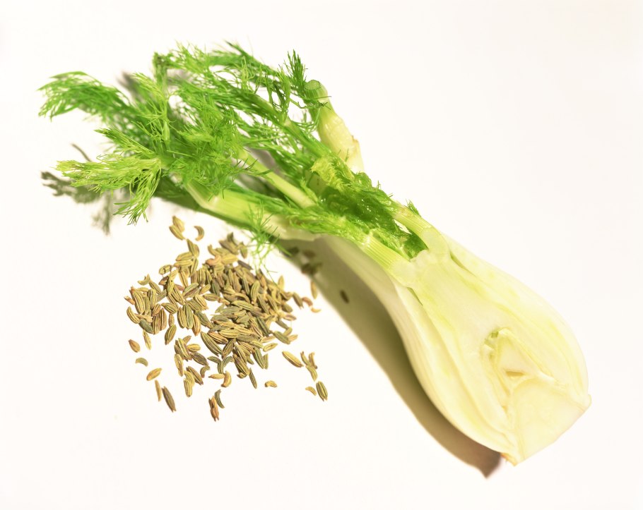 Сушеница топяная лекарственные препараты