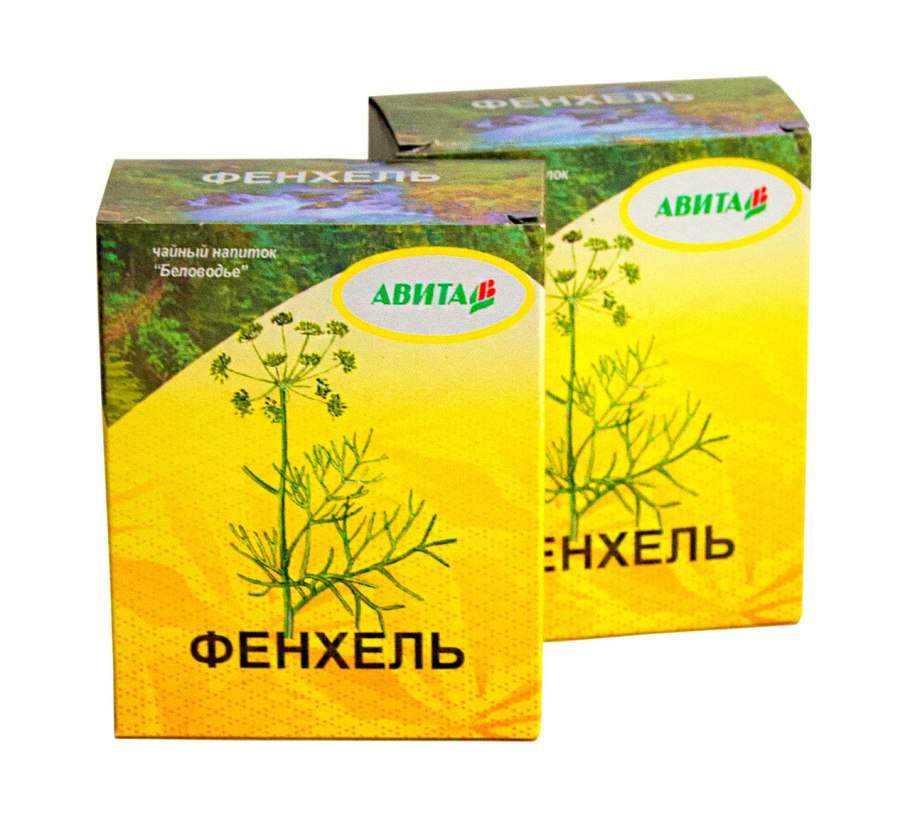 Dittrichia graveolens