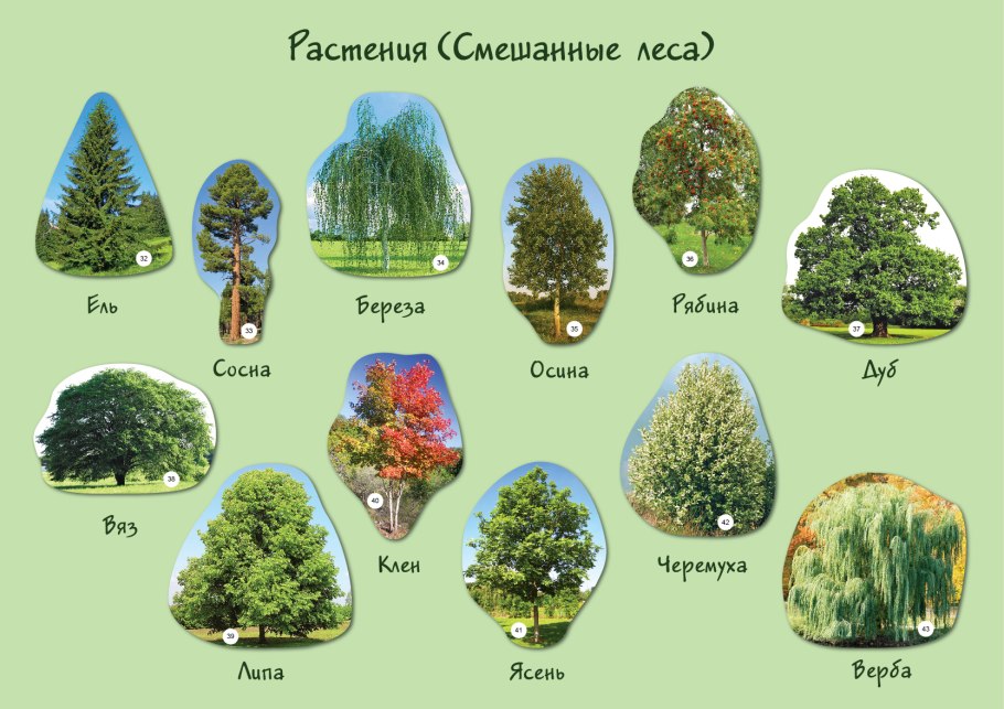 Карточки с заданиями по биологии