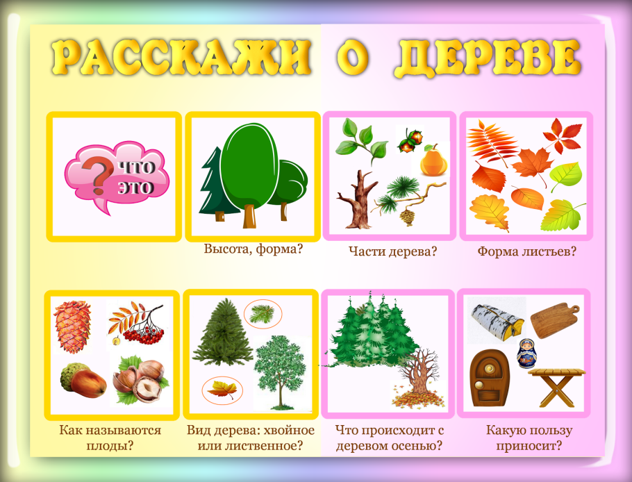 Лиственница доклад