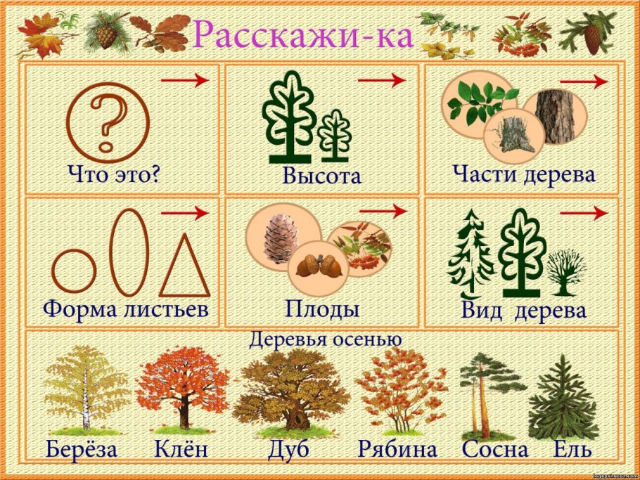 Гербы с растениями