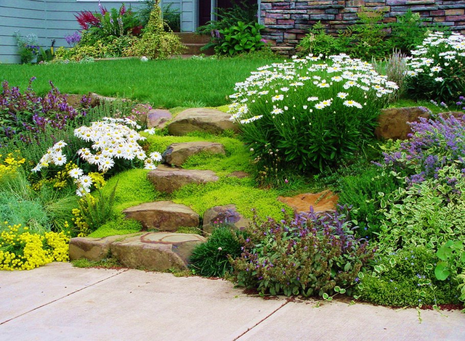 Декоративное Озеленение в тенистом место