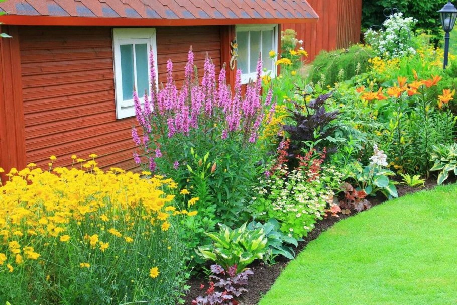 Рабатки миксбордеры