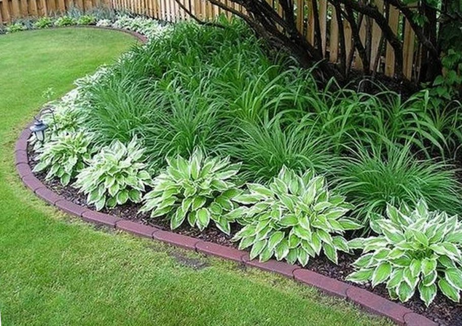 Клумба Мальва дельфиниум Хоста Флоксы рудбекия