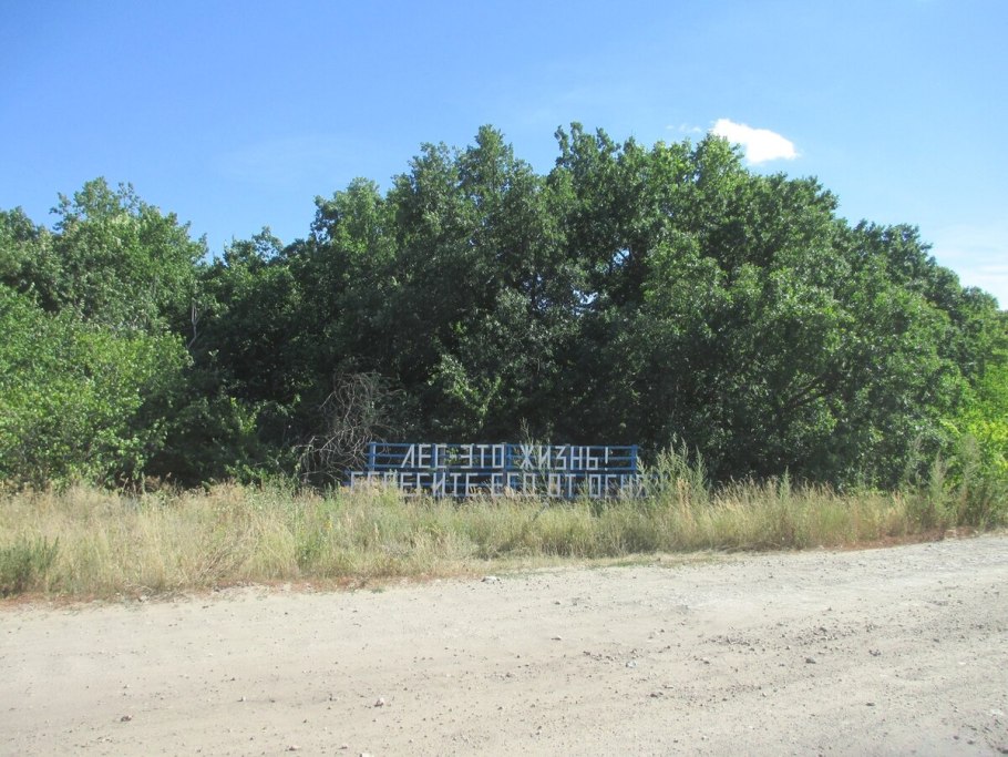 Дуб Петра Свенский монастырь