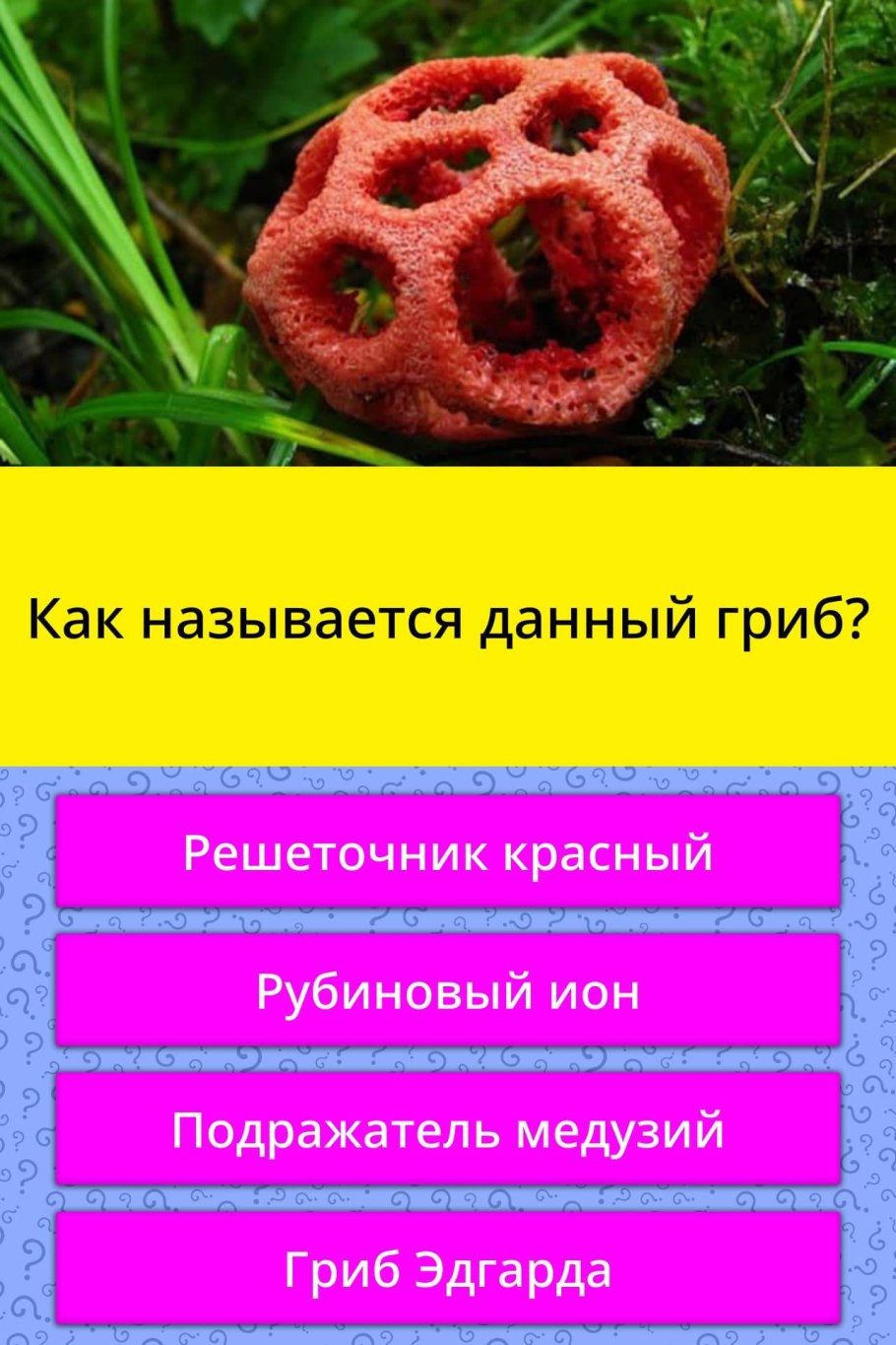 Гиднеллум ПЕКА (Кровавый зуб)