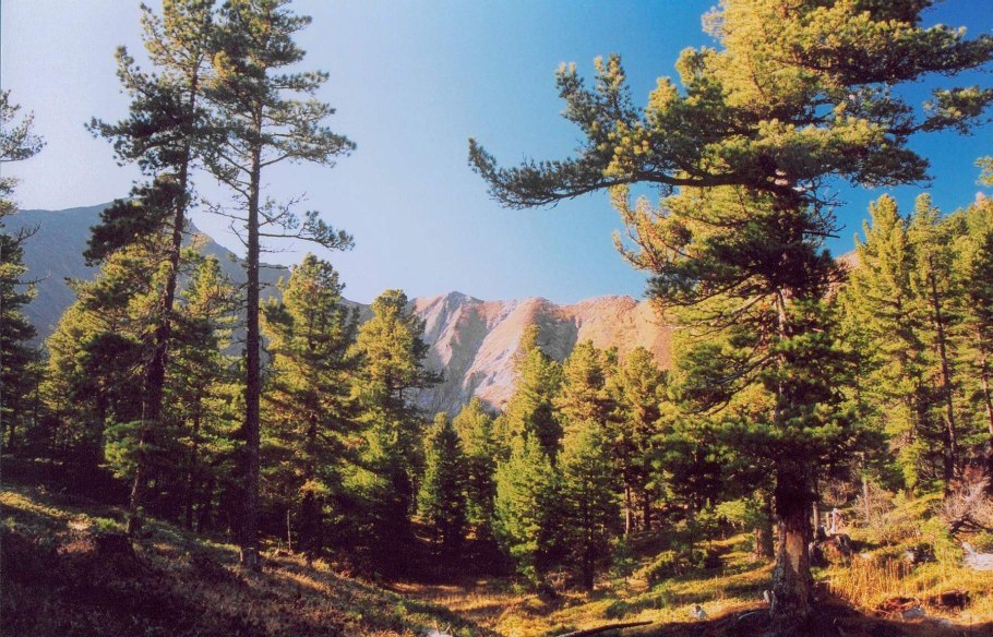 Горная Шория водопад