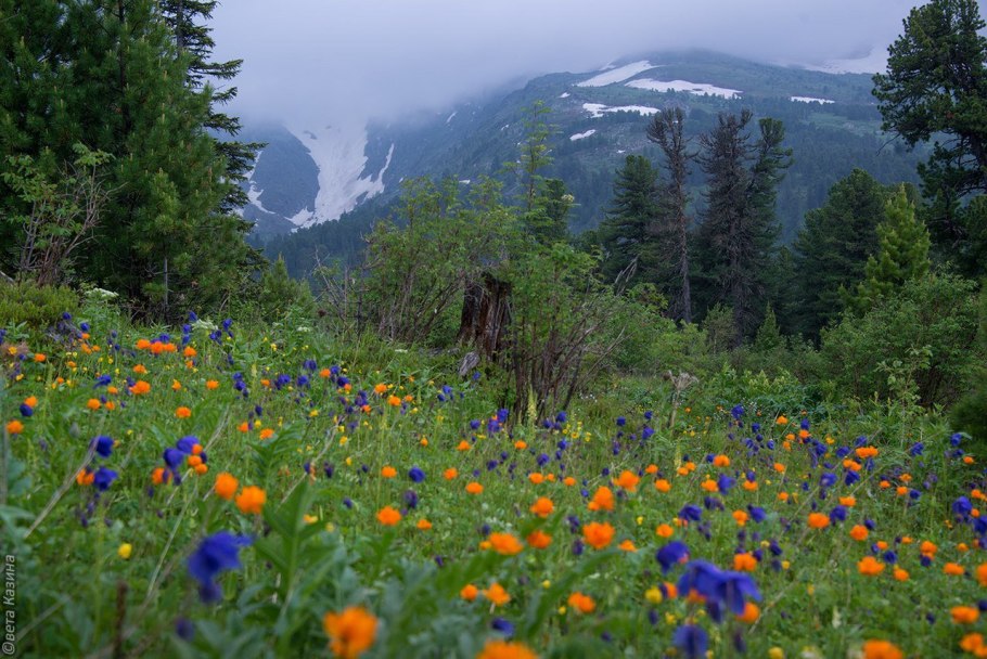 Национальный парк Салаир в Алтайском крае