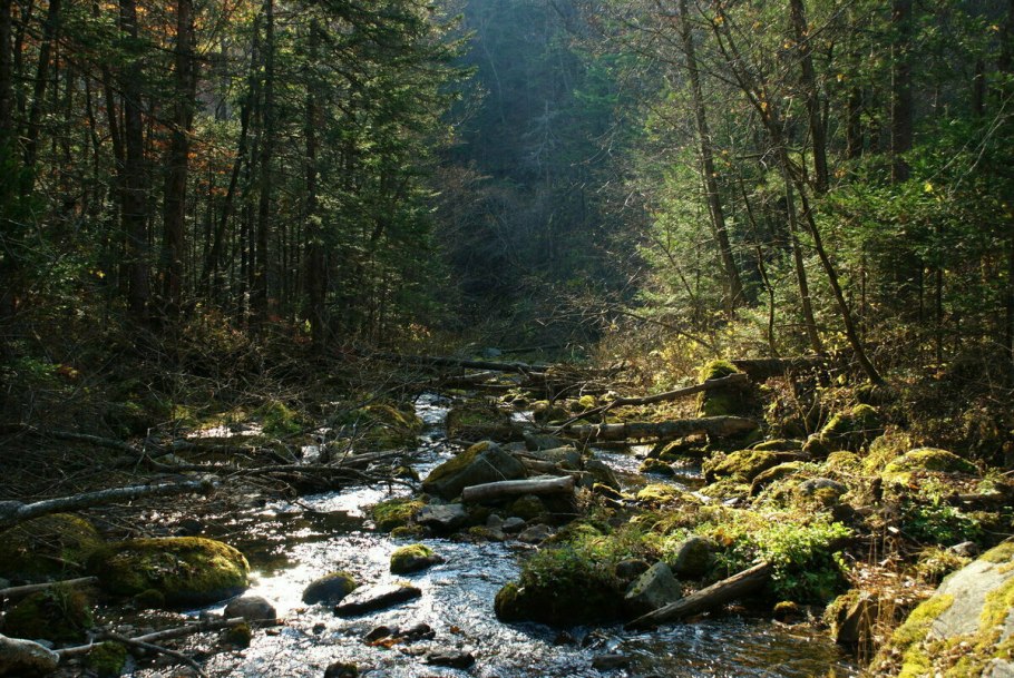 Река Таежная Приморский край