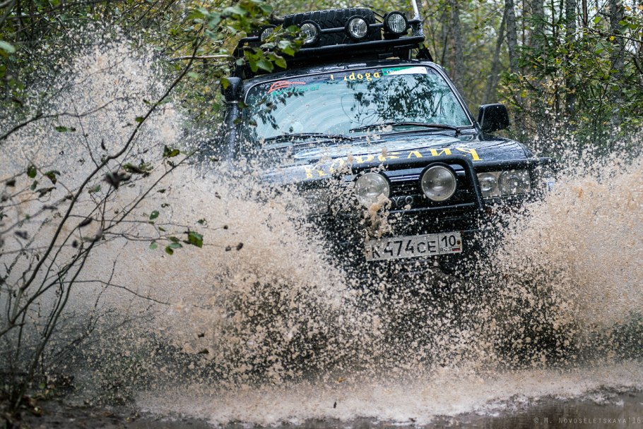 Горный Алтай Тайга